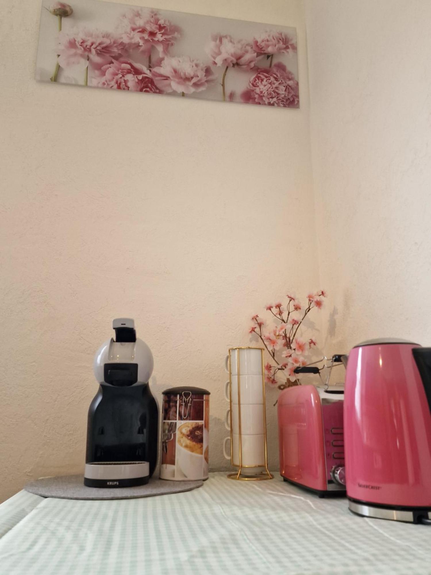 Holiday Apartment Near Triberg Waterfall 特里贝格 外观 照片