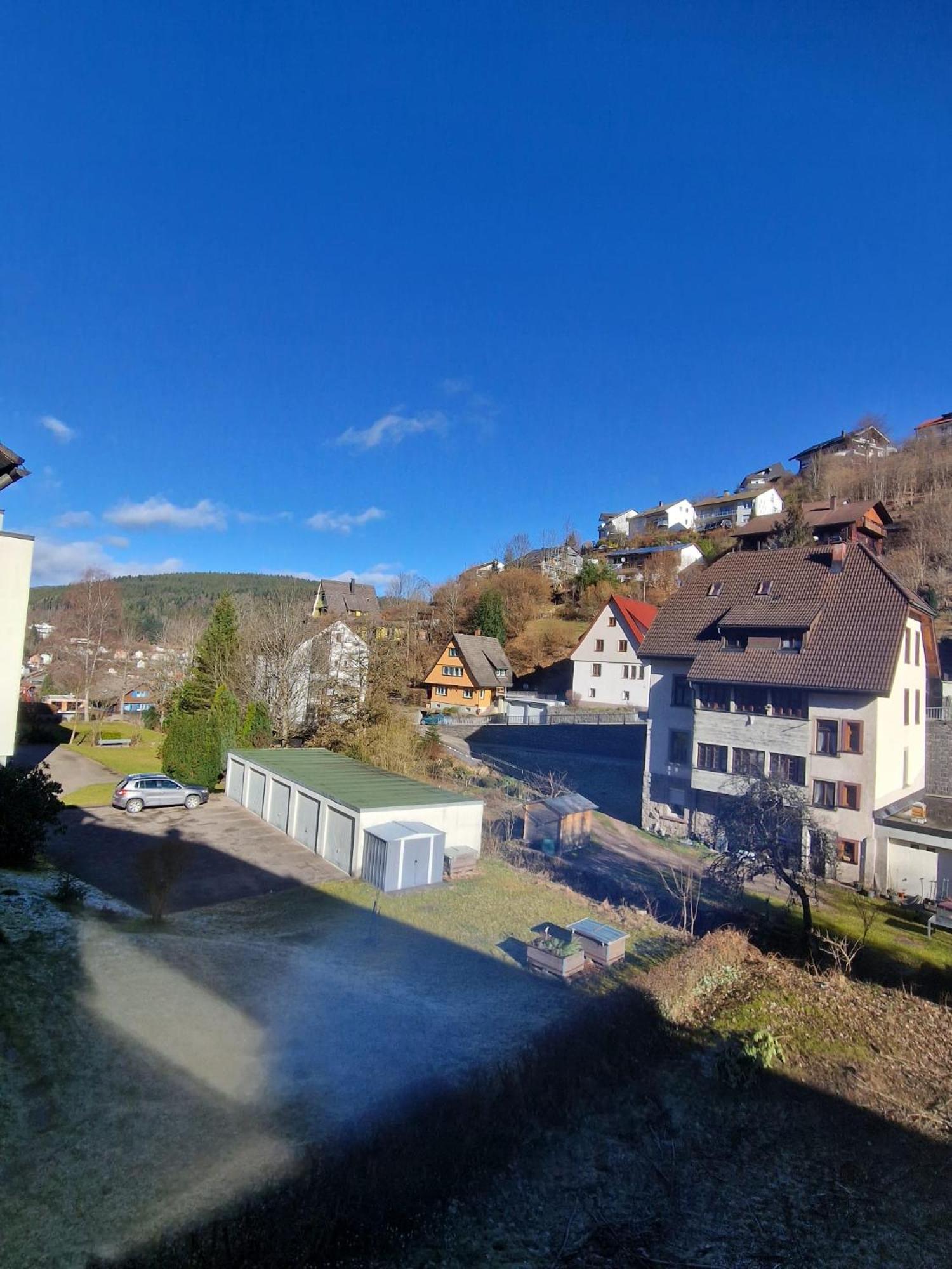 Holiday Apartment Near Triberg Waterfall 特里贝格 外观 照片