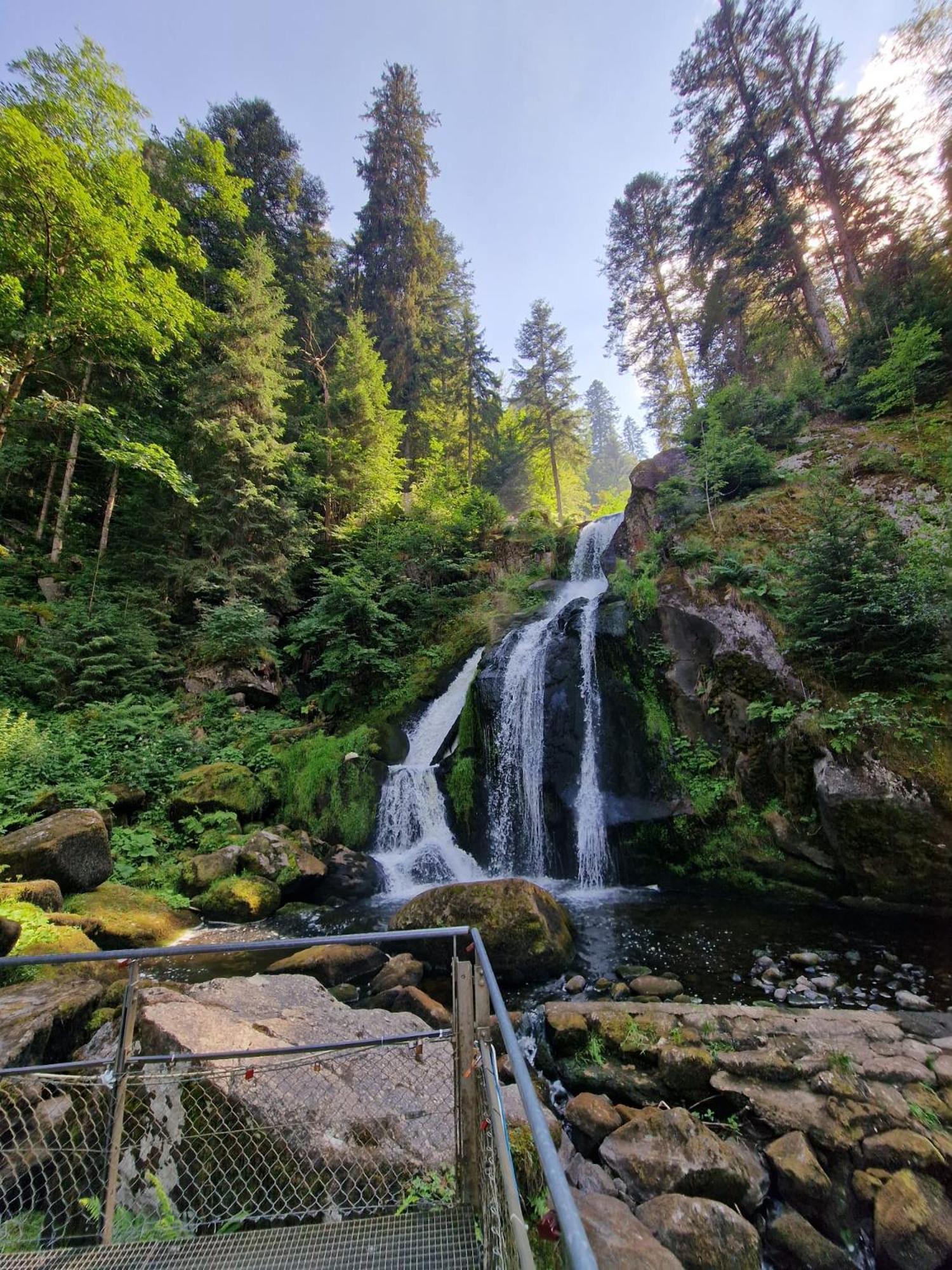Holiday Apartment Near Triberg Waterfall 特里贝格 外观 照片
